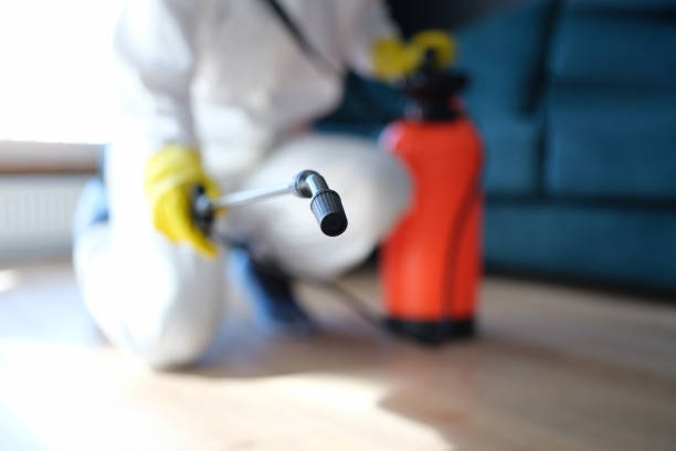  Oak Grove, SC Mold Removal Pros